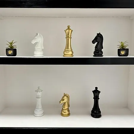 Chess Appartement Mulhouse